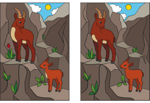 Trouver les 12 différences Vorschau