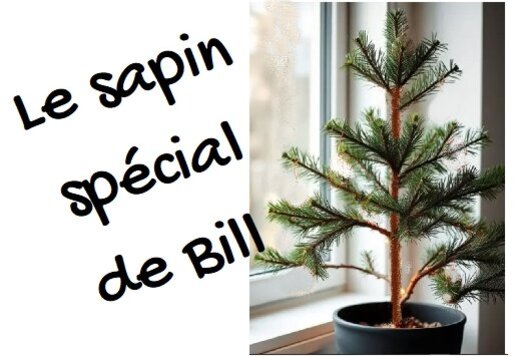 116 Le sapin de Noël spécial de Bill Vorschau