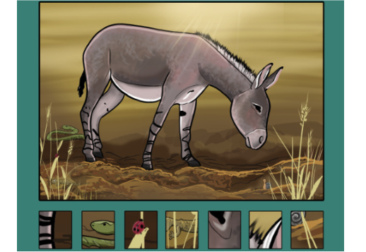 Âne - Cherche les portions d’image Vorschau