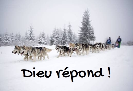 069 Confrontation 2/2 Banquise  &laquo;&nbsp;Dieu r&eacute;pond aux pri&egrave;res&nbsp;!&nbsp;&raquo;   Vorschau