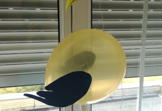 Animaux en ballons de baudruche