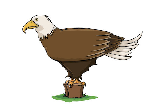 Dessine un aigle