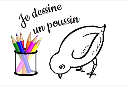 Je dessine un poussin en 6 &eacute;tapes Vorschau
