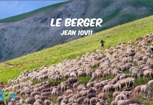 Verset : Le berger