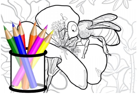 Coloriage : Abeilles Vorschau