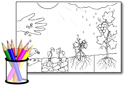 Coloriage : la Parabole du Semeur Vorschau
